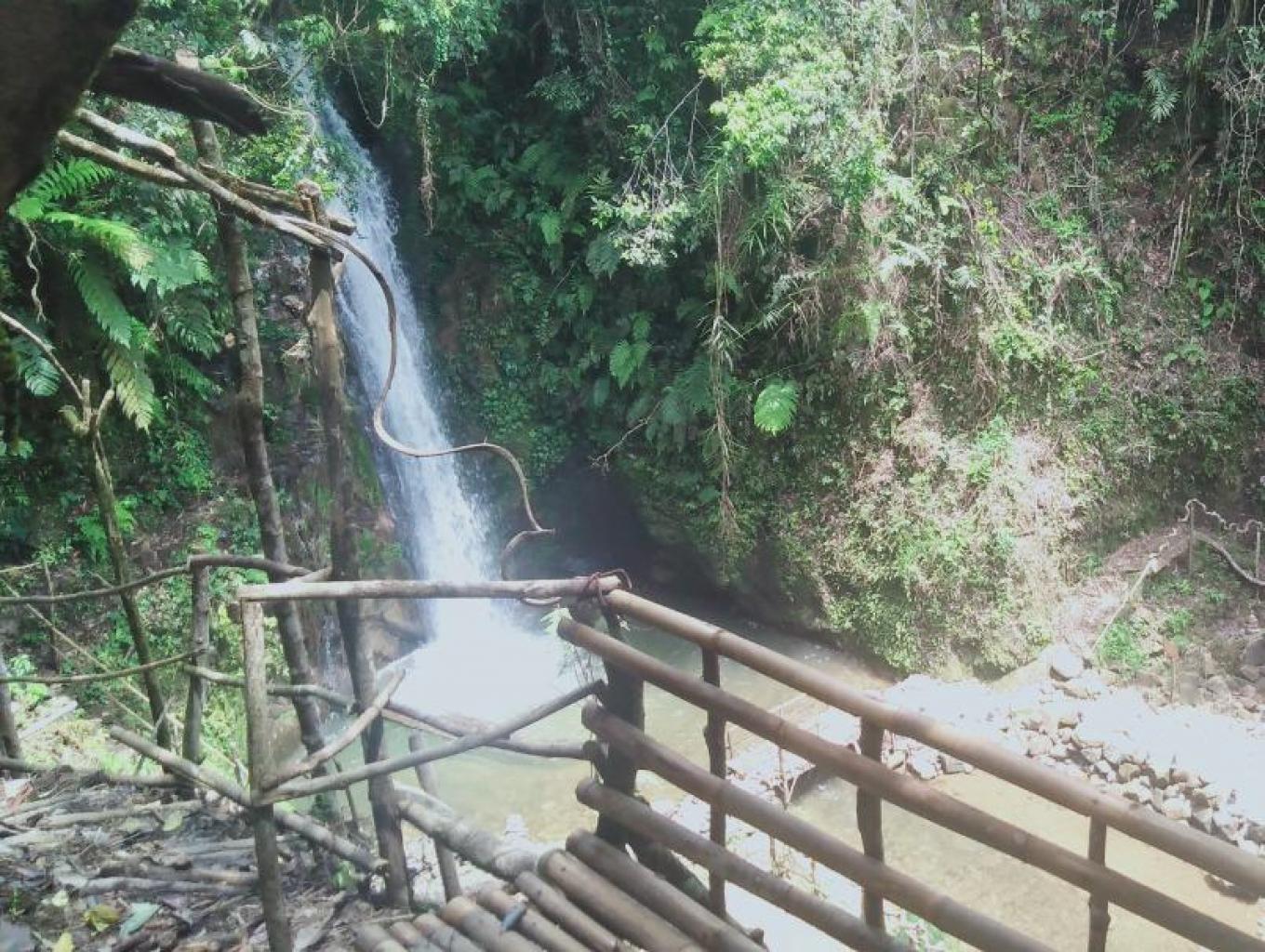 Rimba Candi