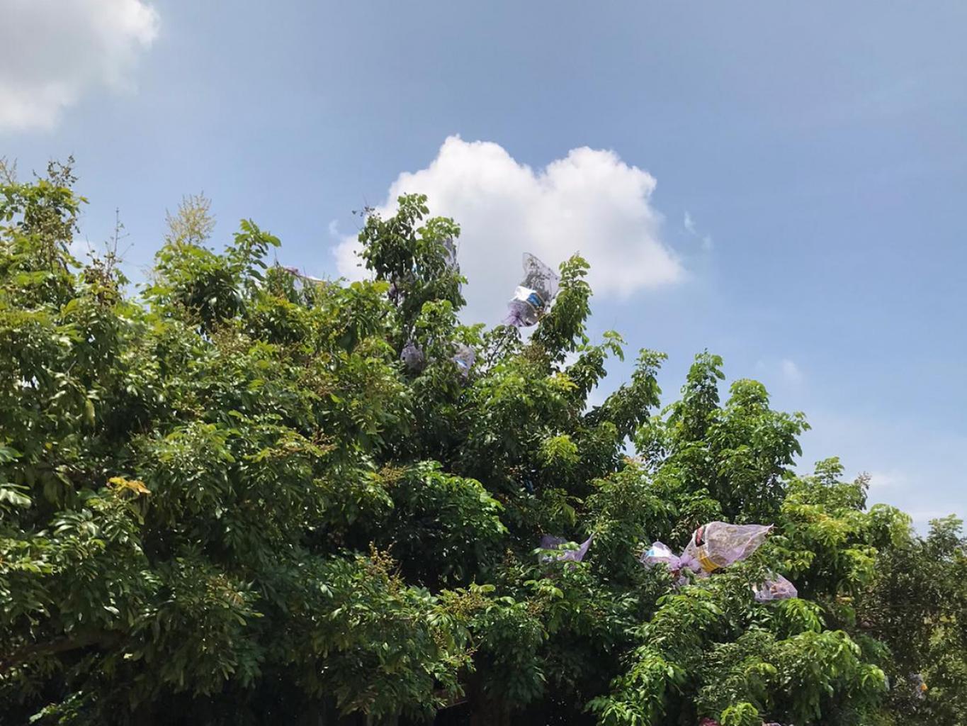 Kampung Klengkeng