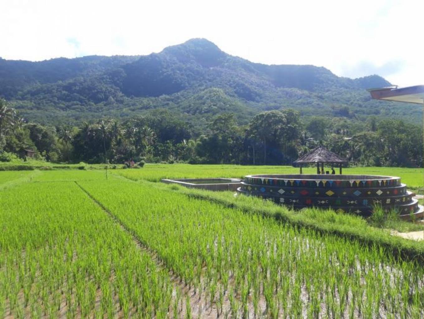 Kolam Permandian Air Panas Alami