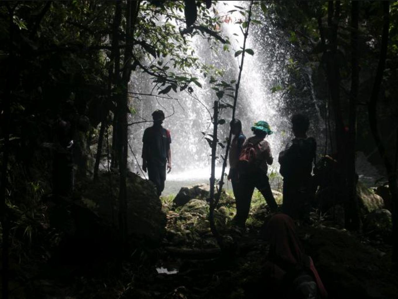 Jungle Tracking