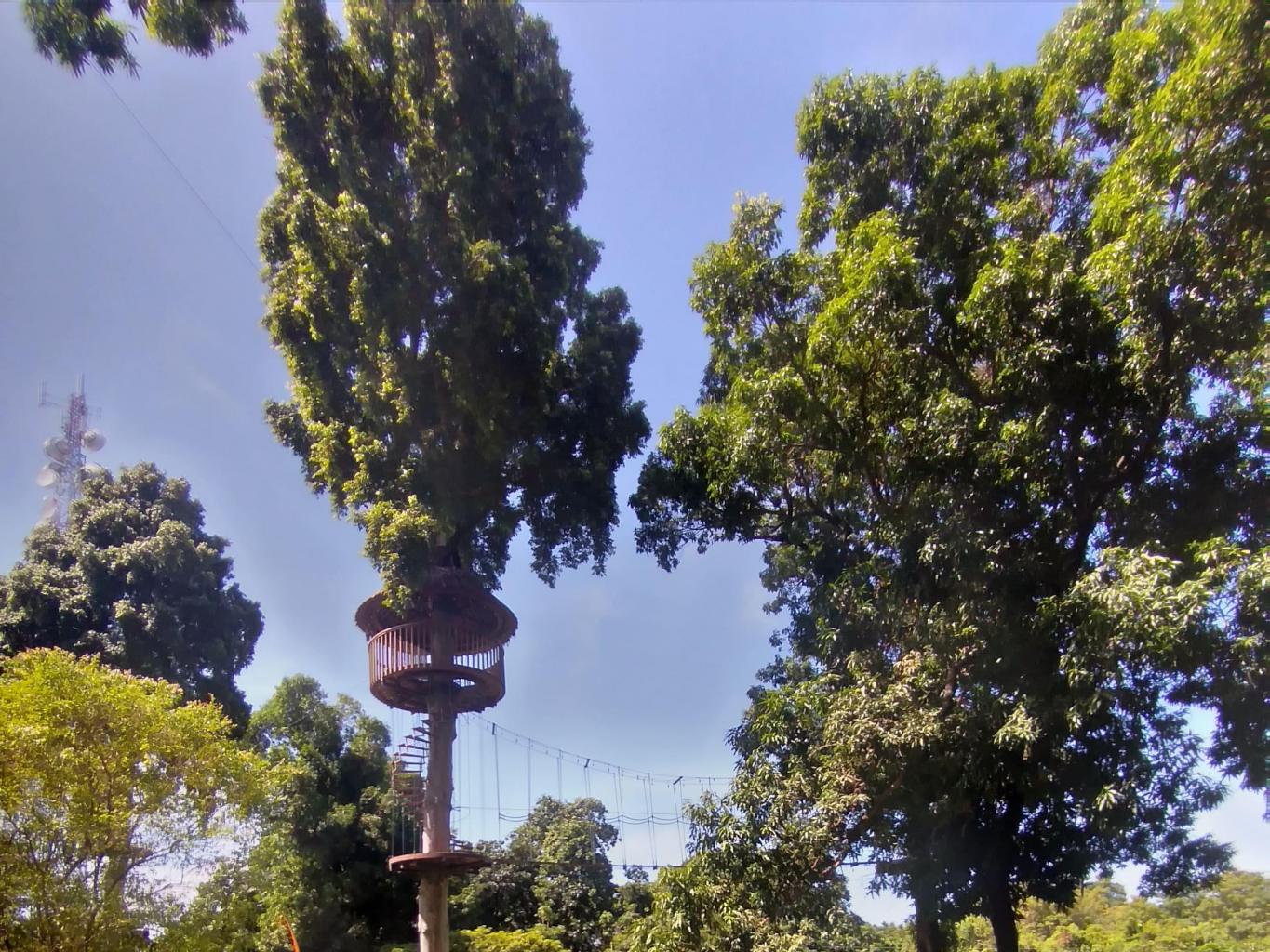 Manado Treetop Zipline