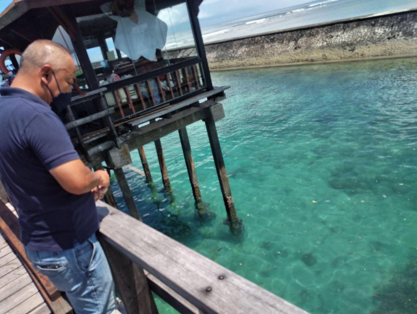 Memberi Makan Ikan Di Dermaga