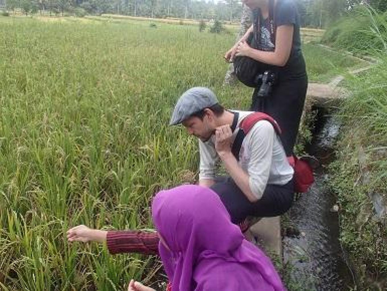 Mengamati Siput Ditengah Sawah