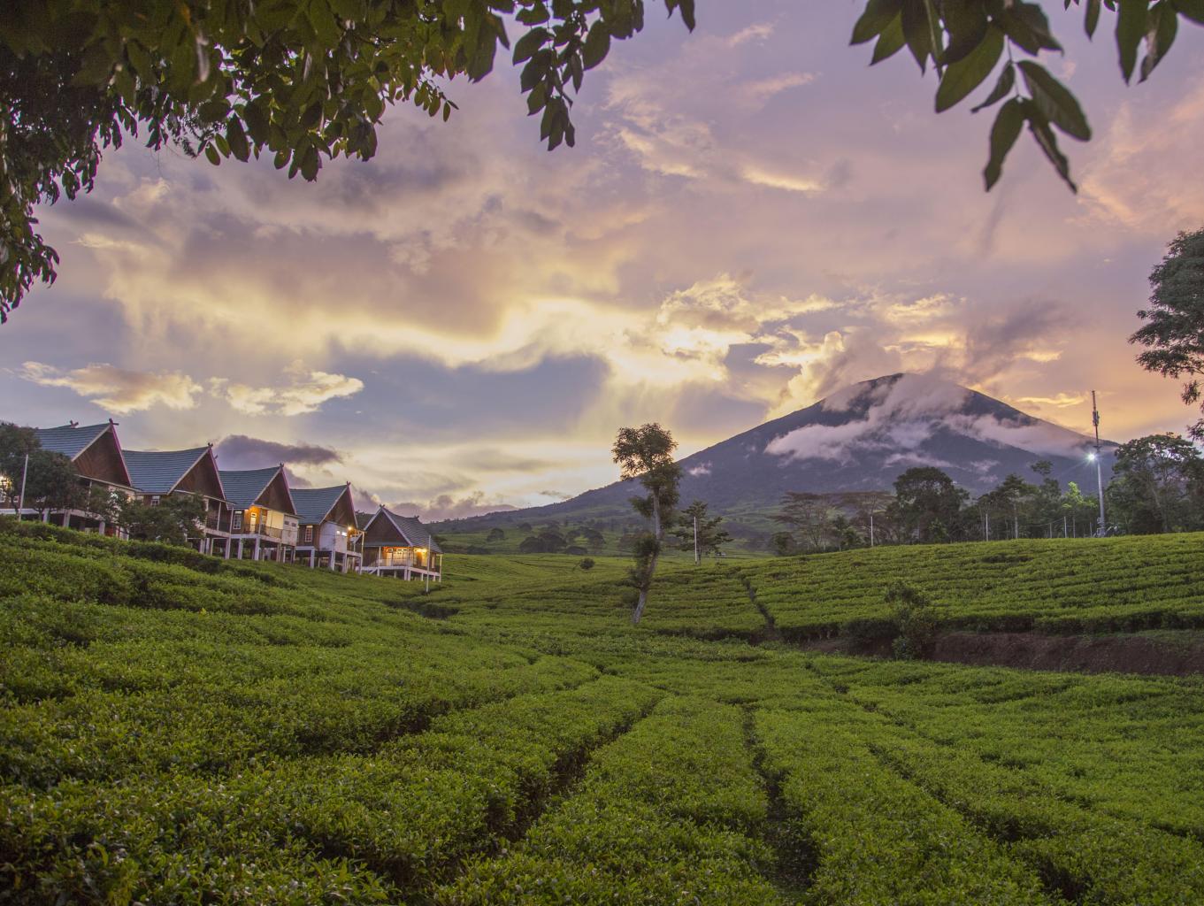 Gunung Dempo