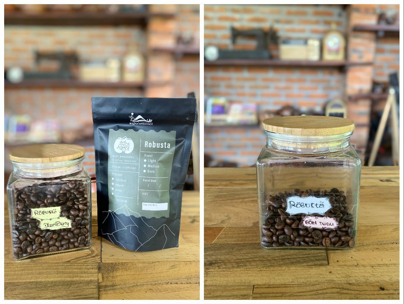 Kopi Robusta
