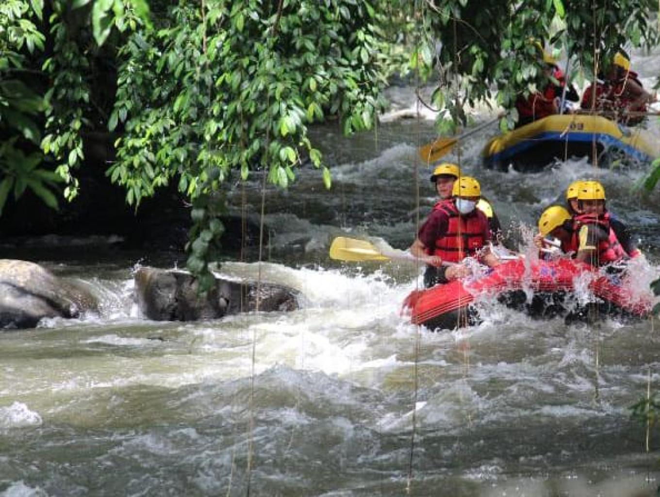 Arung Jeram