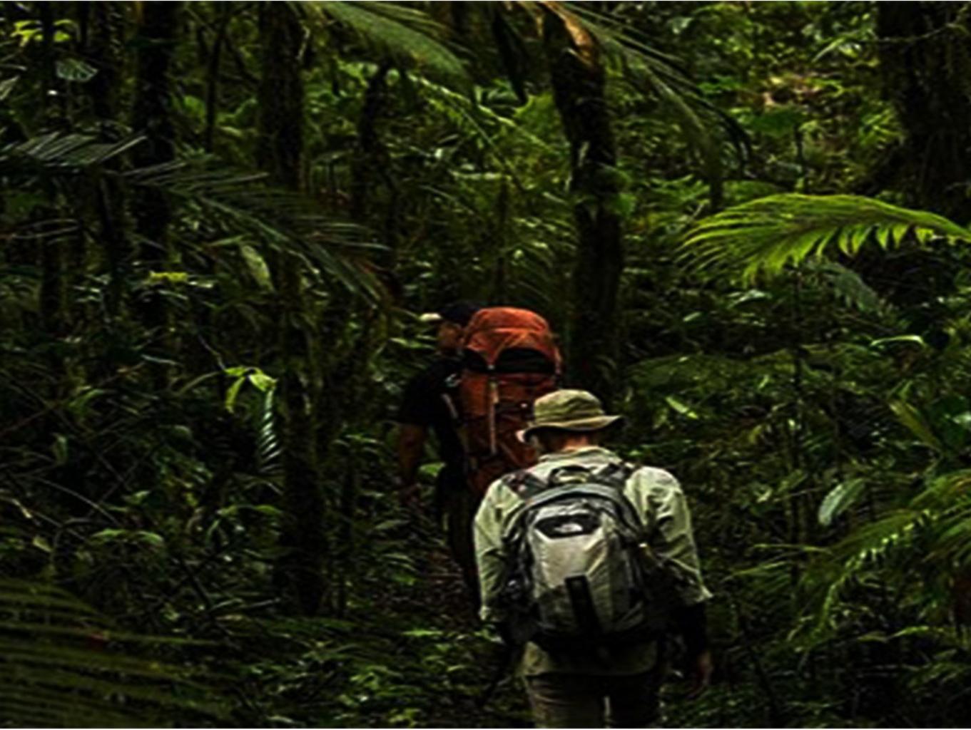 Hiking Gunung Tedunang