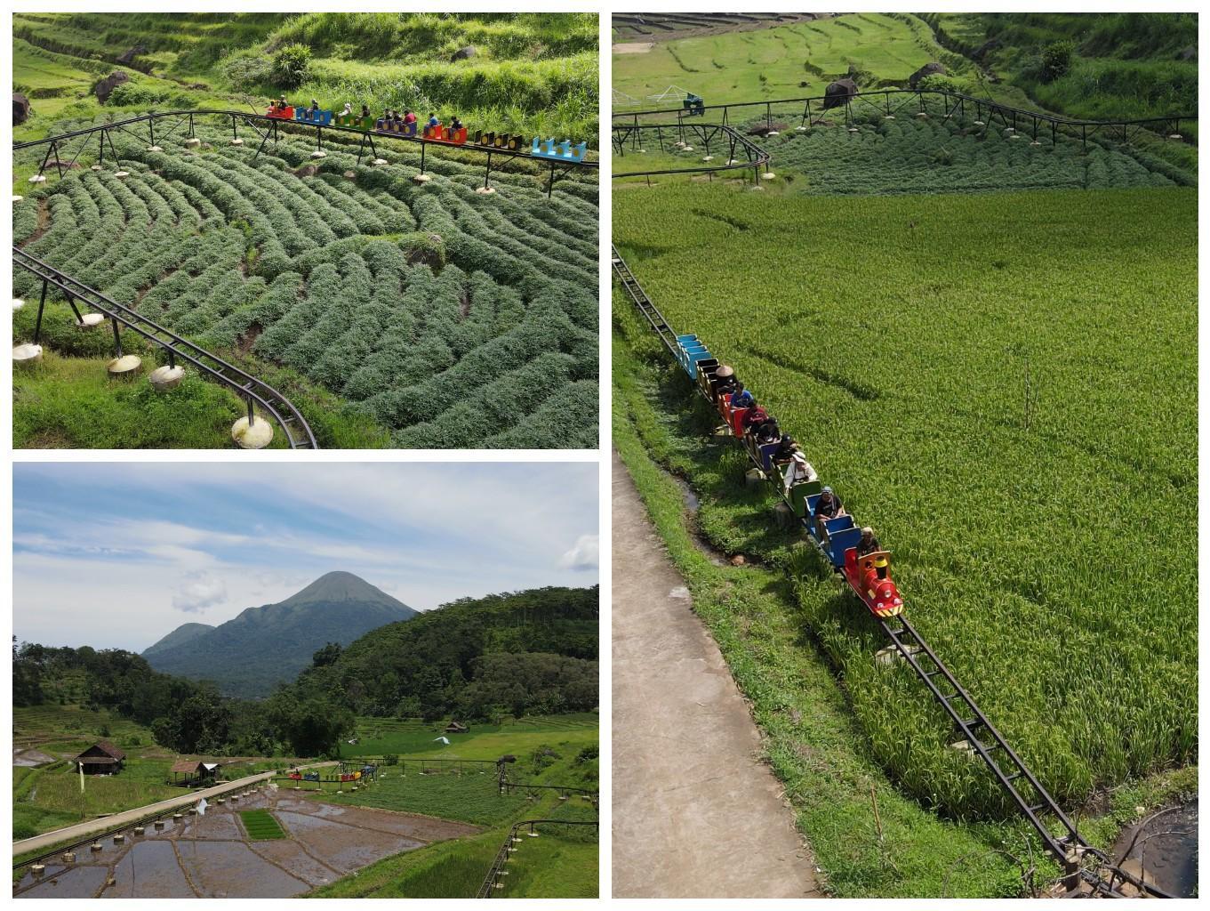 Kereta Jelajah Sawah