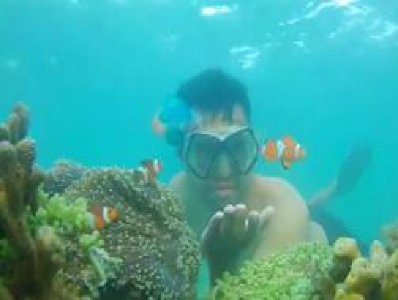Snorkeling Taman Nemo