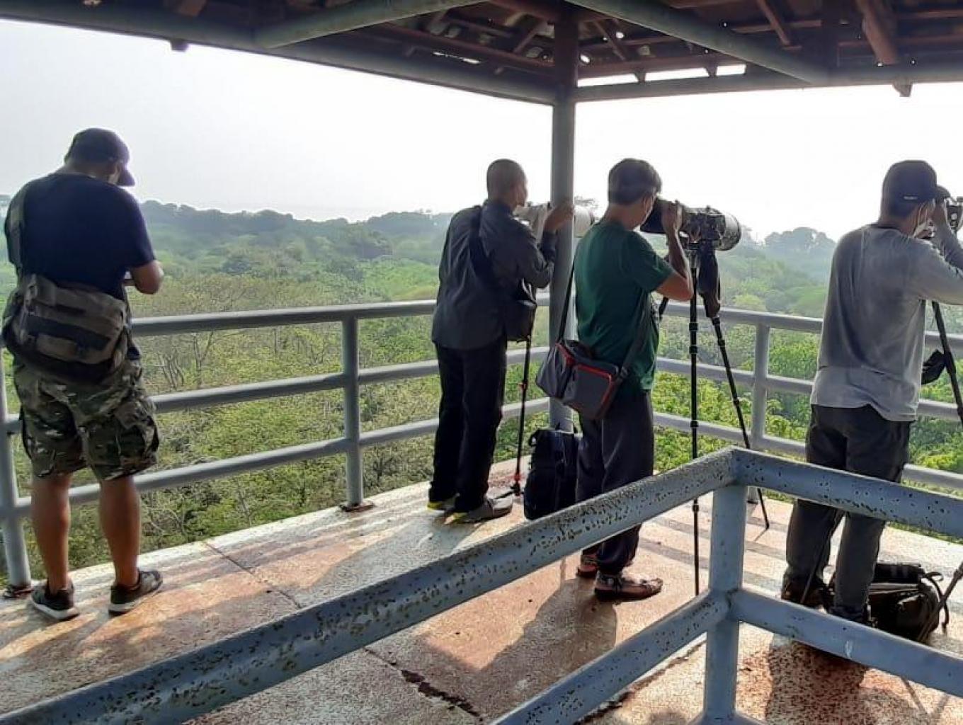 Jelajah Burung Blowok Dan Elang Bondol