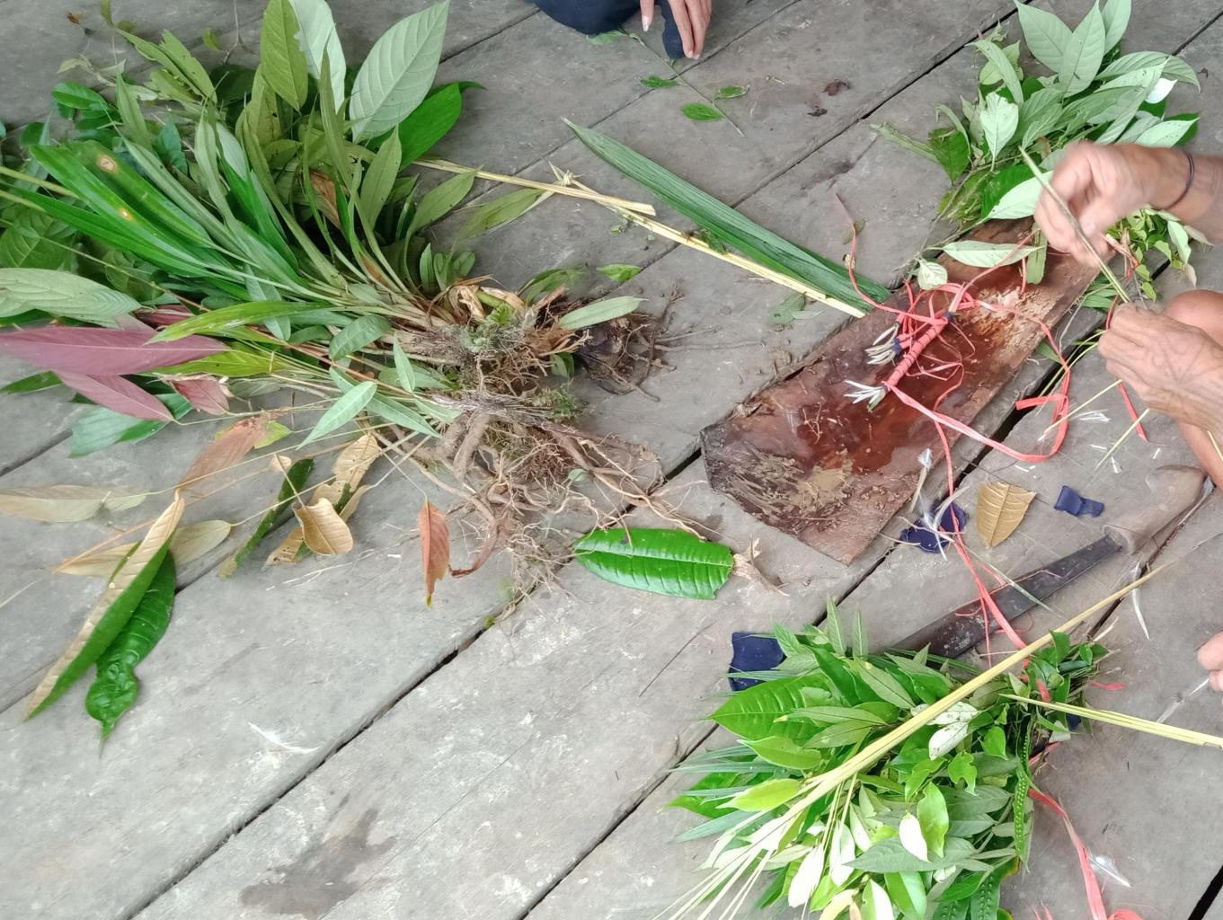 Apotik Alam (obat-obatan) dari tumbuhan