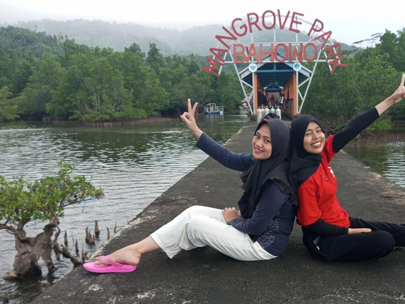 Mangrove Park Bahowo