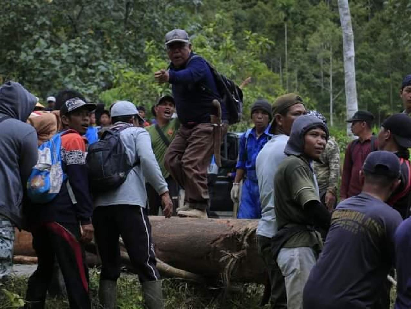 Narik Kayu Balok/narik Pamun