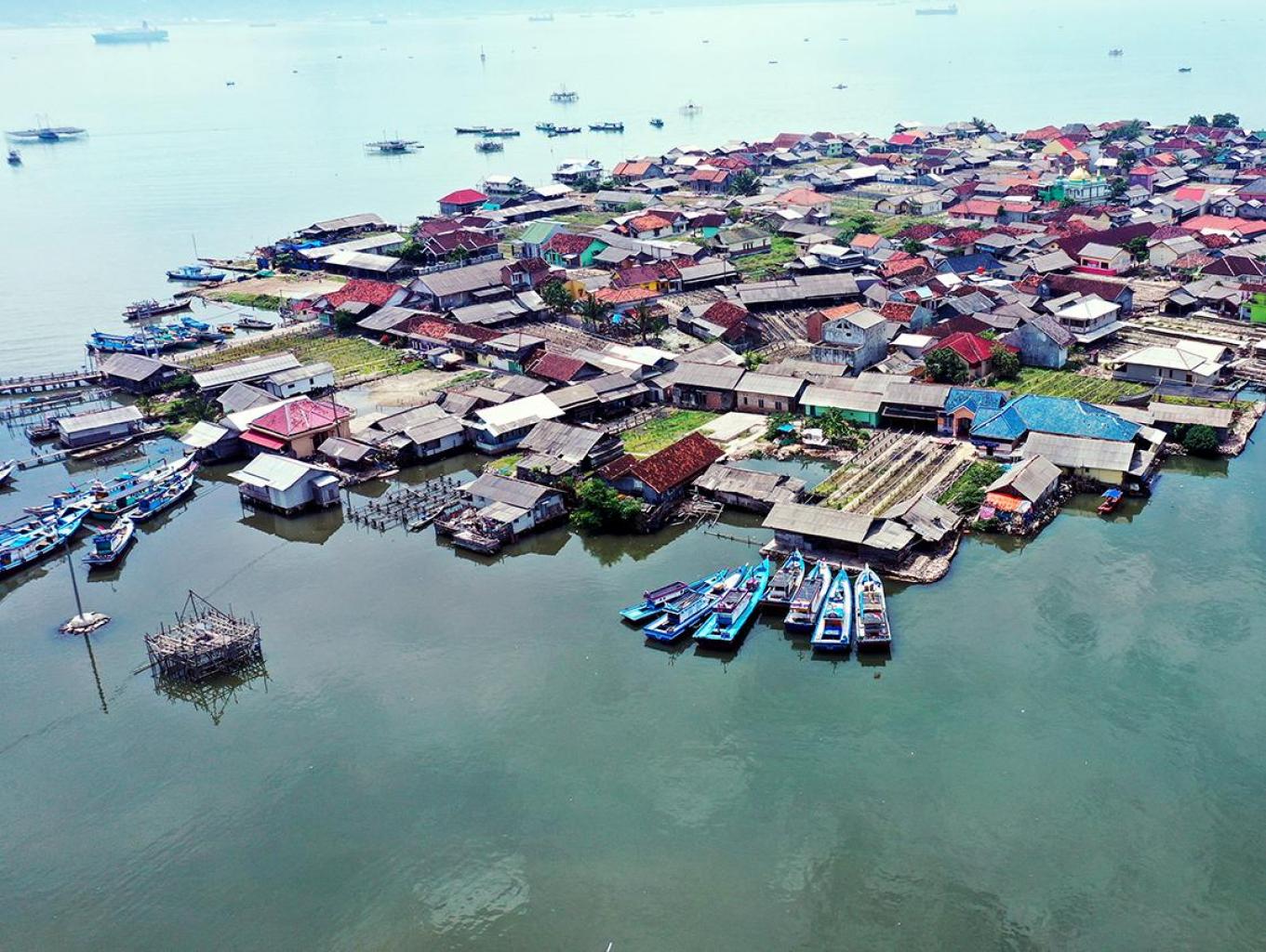 Sentra Ikan Teri Pulau Pasaran