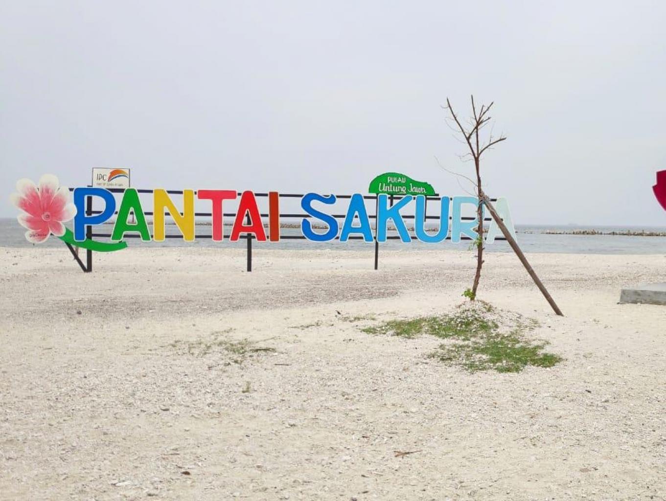 Pantai Sakura