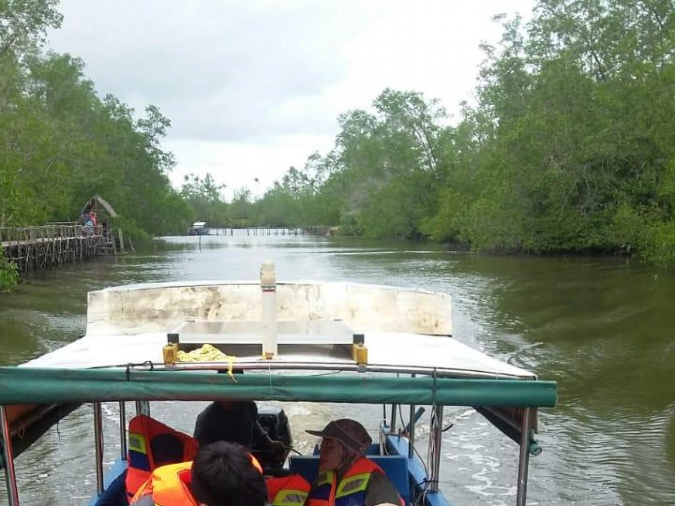 Susur Sungai Sijuk Di Hutan Mangrove Kuale Sijuk