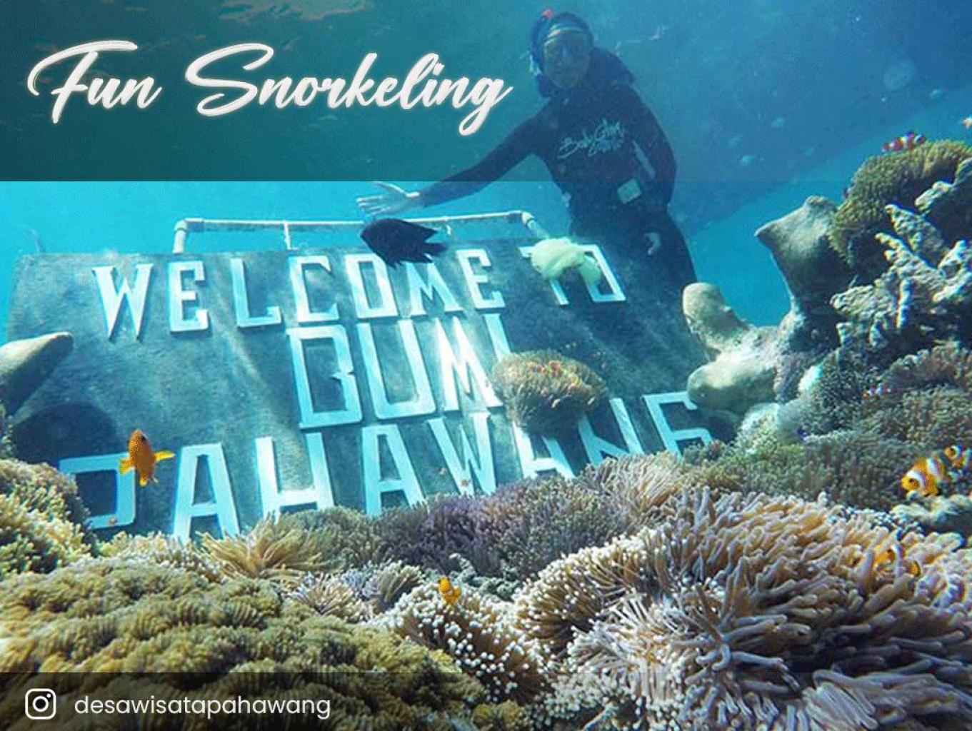 Pahawang, Kegiatan Fun Snorkeling