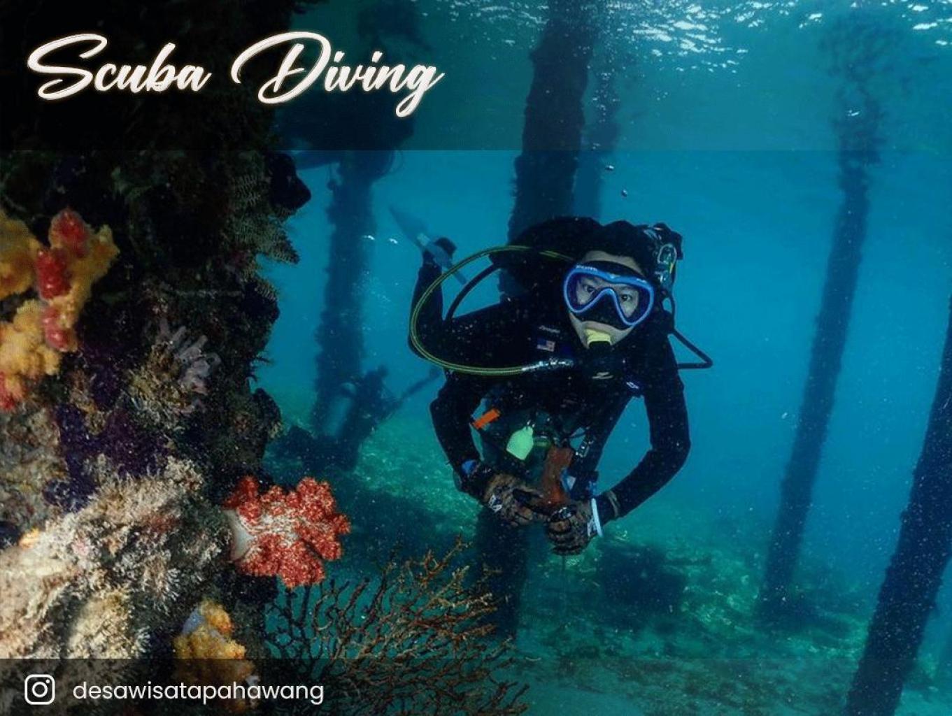 Pahawang, Scuba Diving