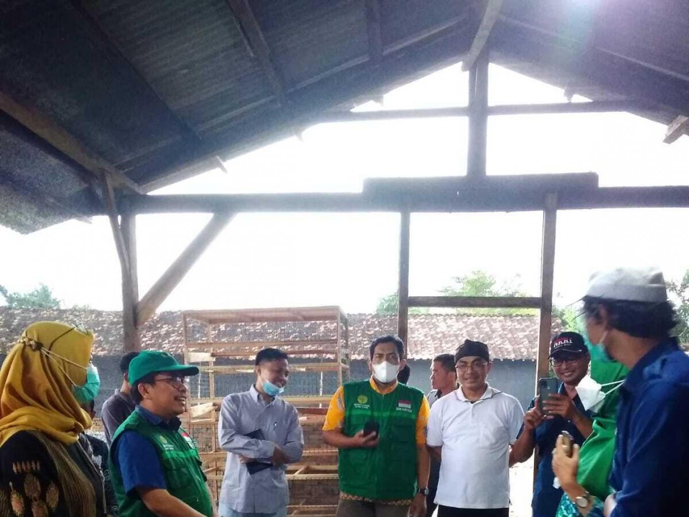 Pelatihan Beternak Puyuh