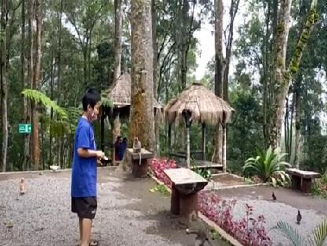 Atraksi Sahabat Fauna