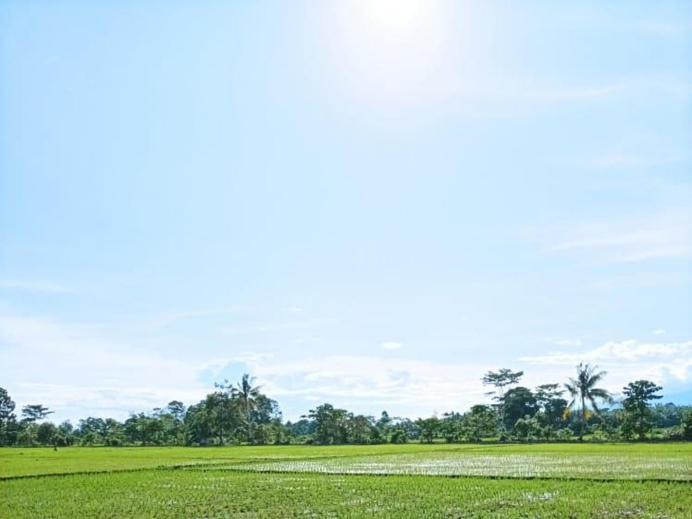 Galung Desler