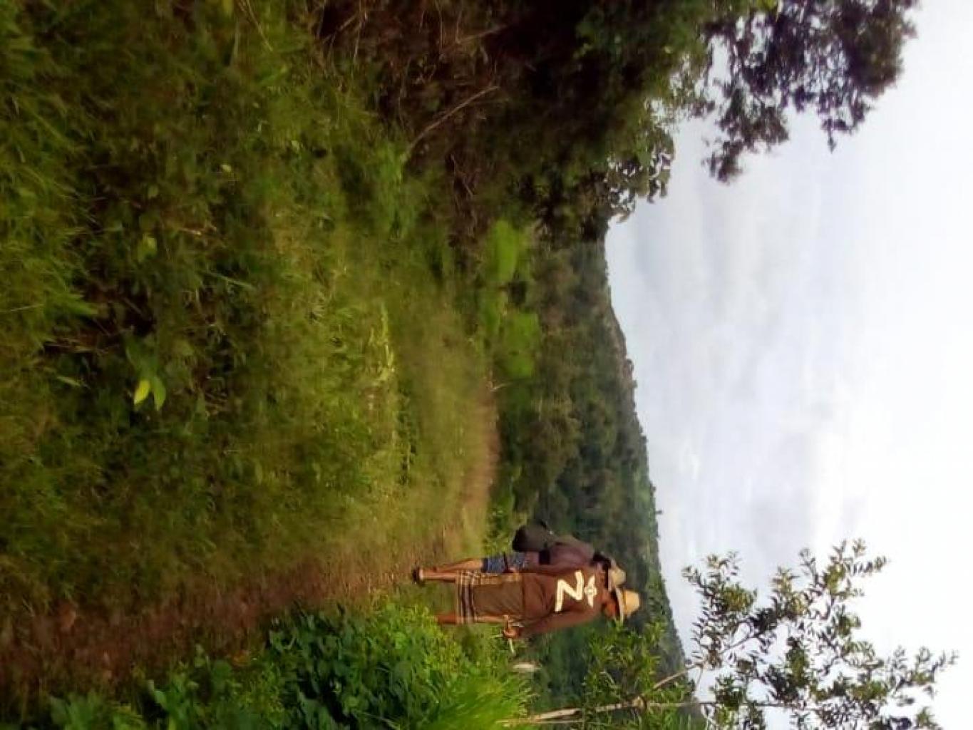 Wisata Nganco