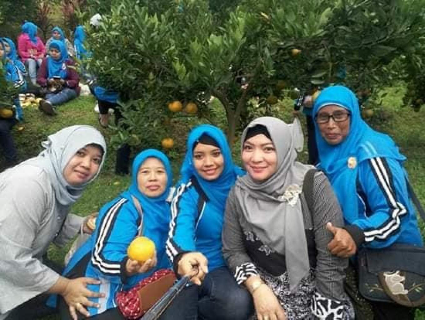 Wisata Petik Jeruk