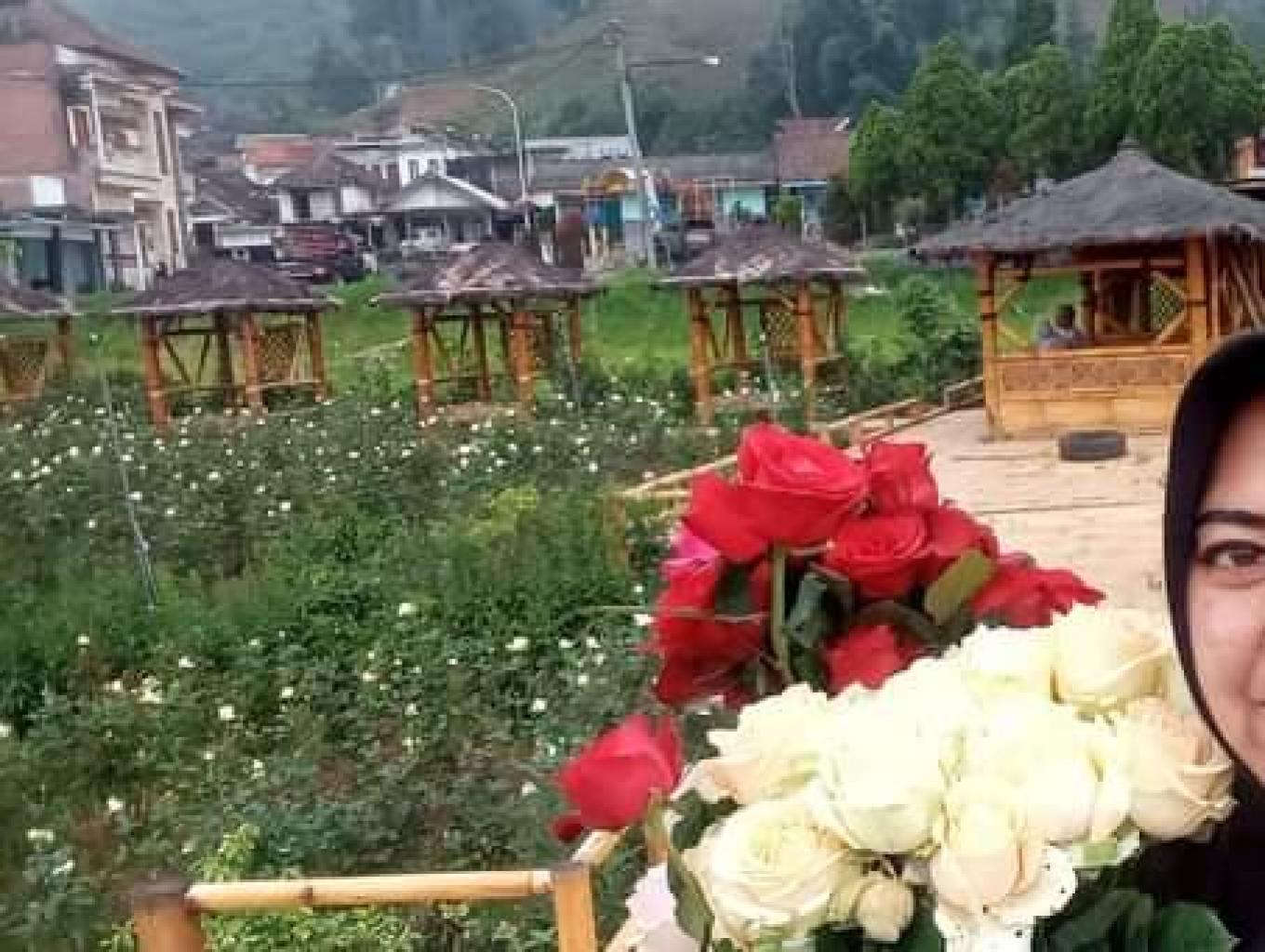 Edukasi Pertanian Bunga Mawar