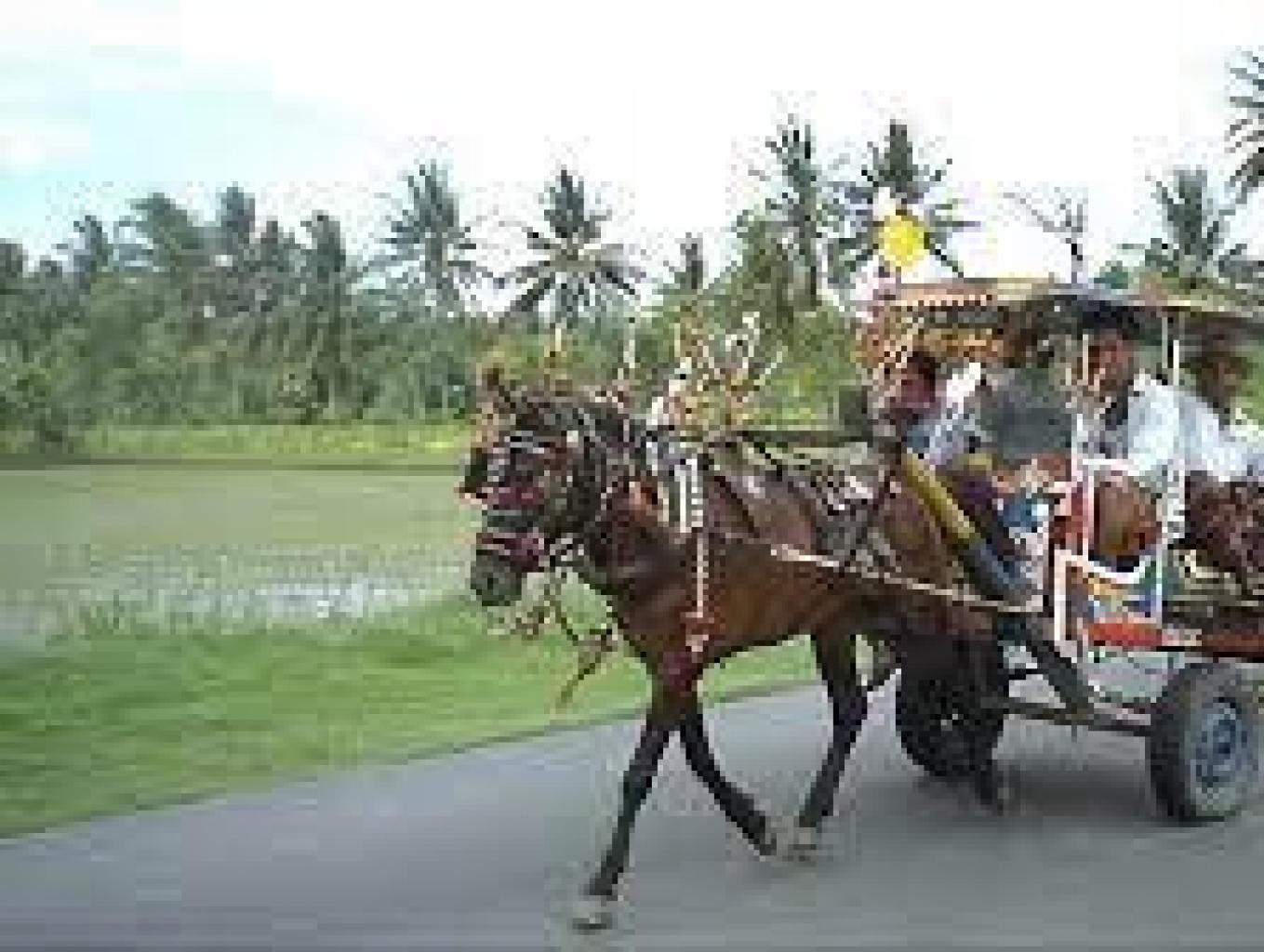 Kopang Antique (durasi 4 Jam)