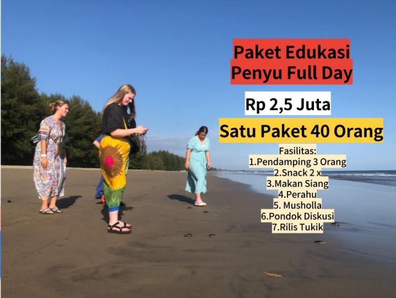 Paket Edukasi Tentang Penyu Fullday