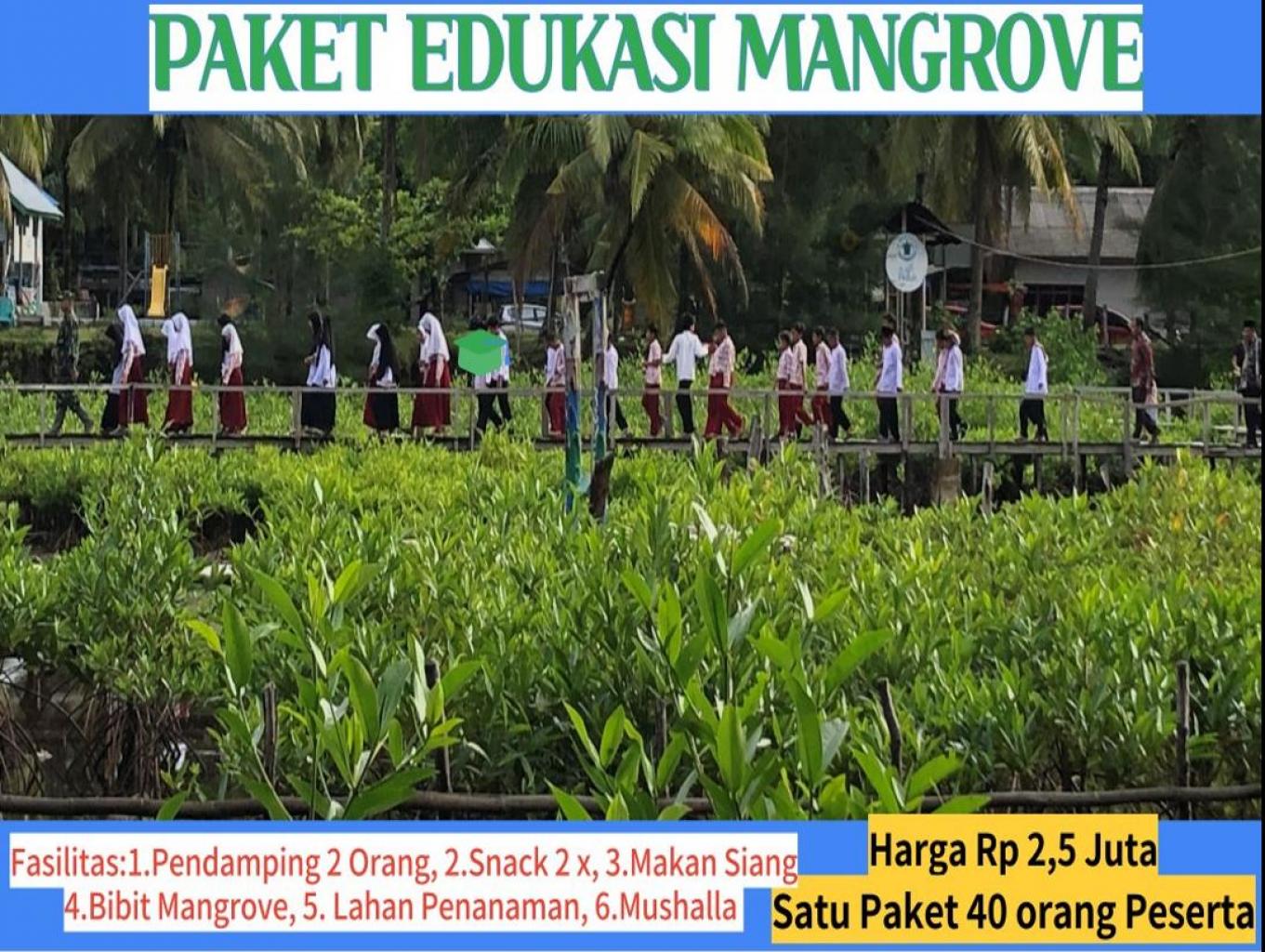Paket Edukasi Tentang Mangrove Fullday