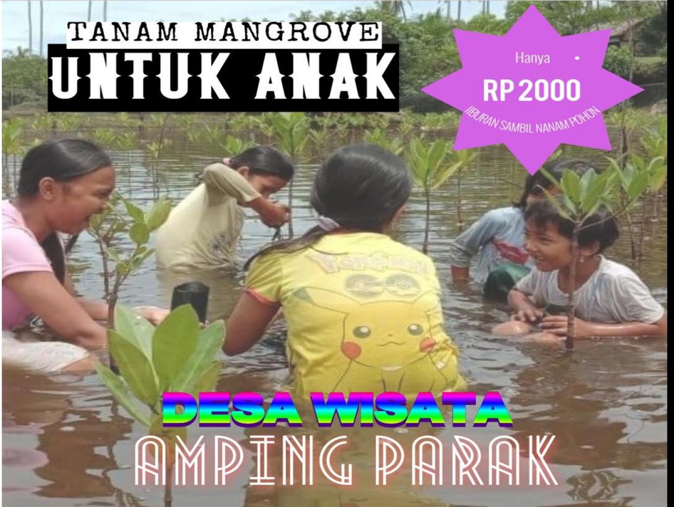 Tanam Mangrove Untuk Anak.
