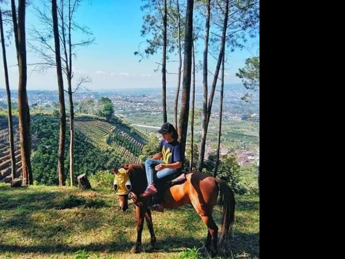 Wisata Berkuda Mengelilingi