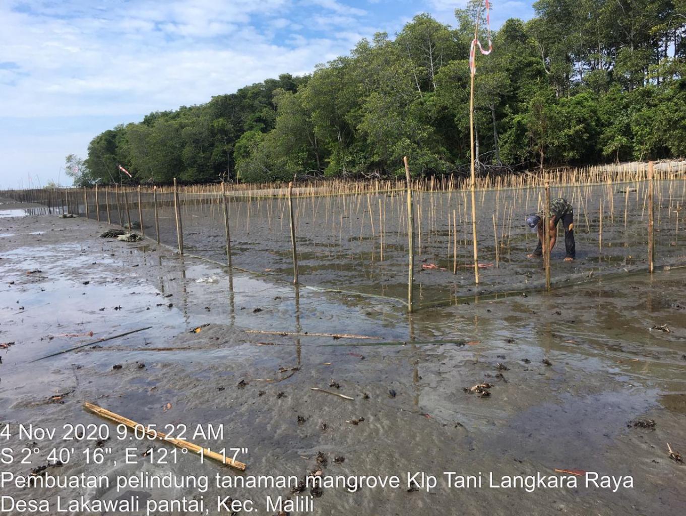 Langkara Mangrove