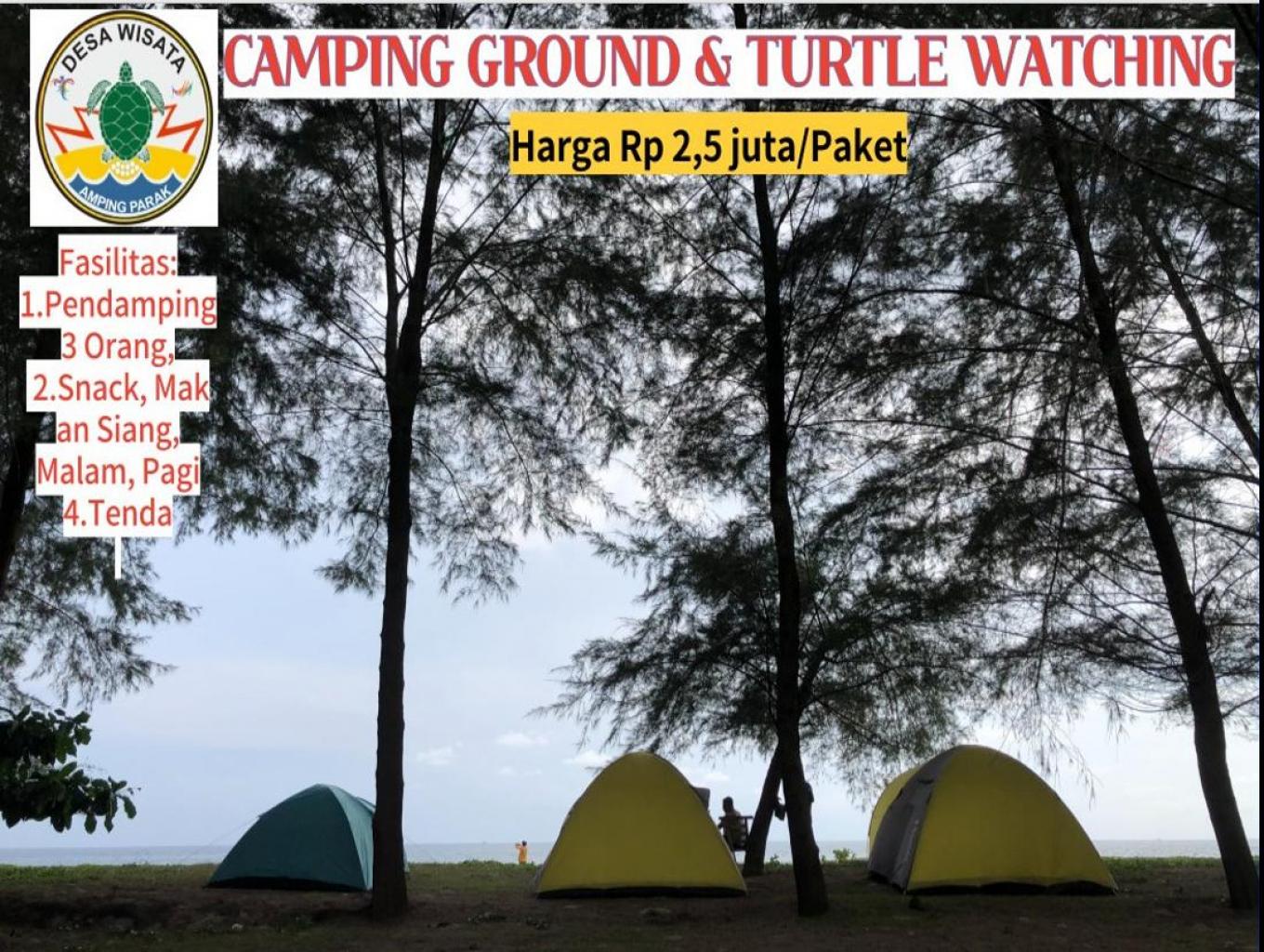 Camping Ground Hutan Cemara Laut dan Turtle Watching
