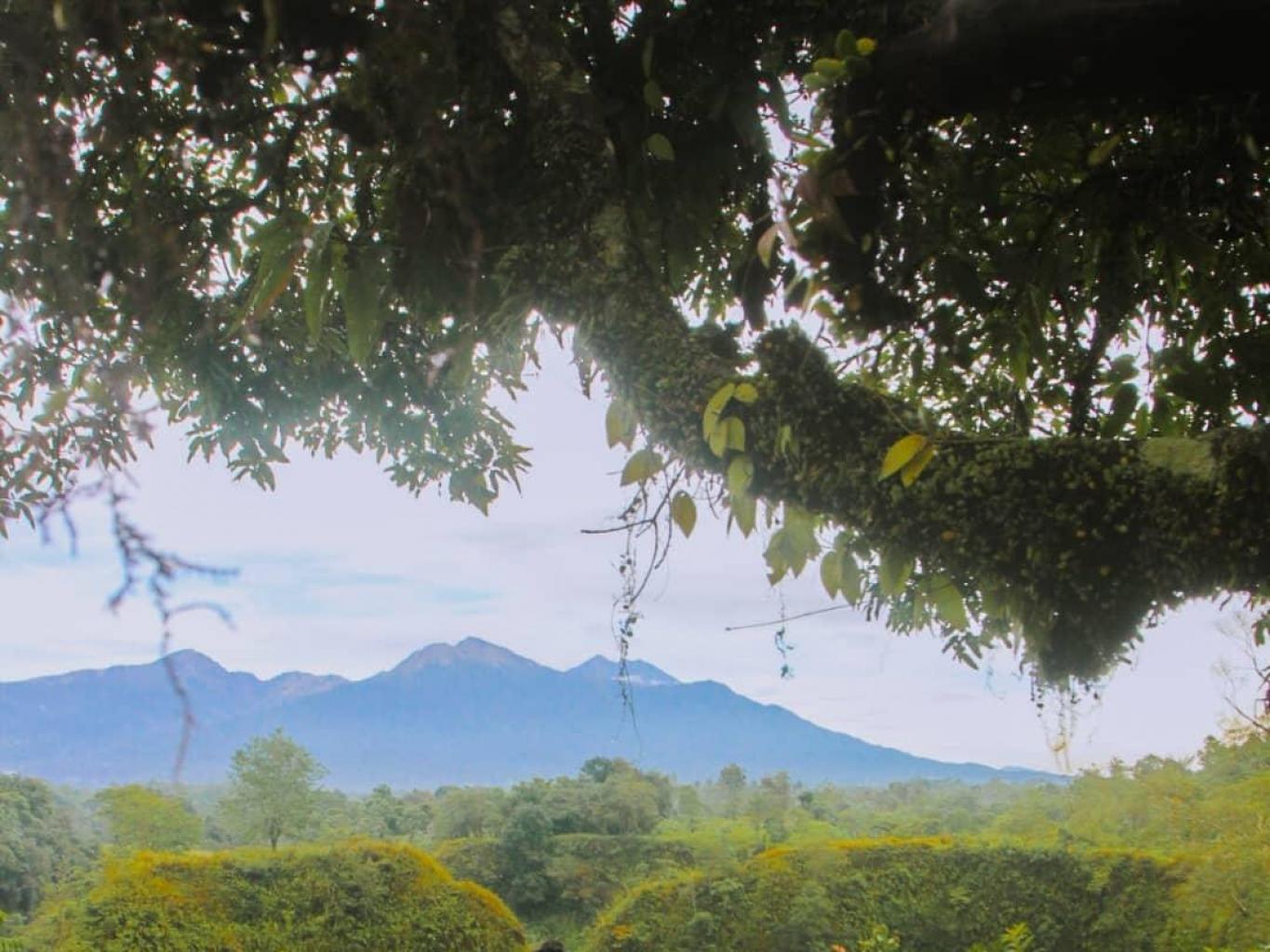 Glamping Lembah Surga
