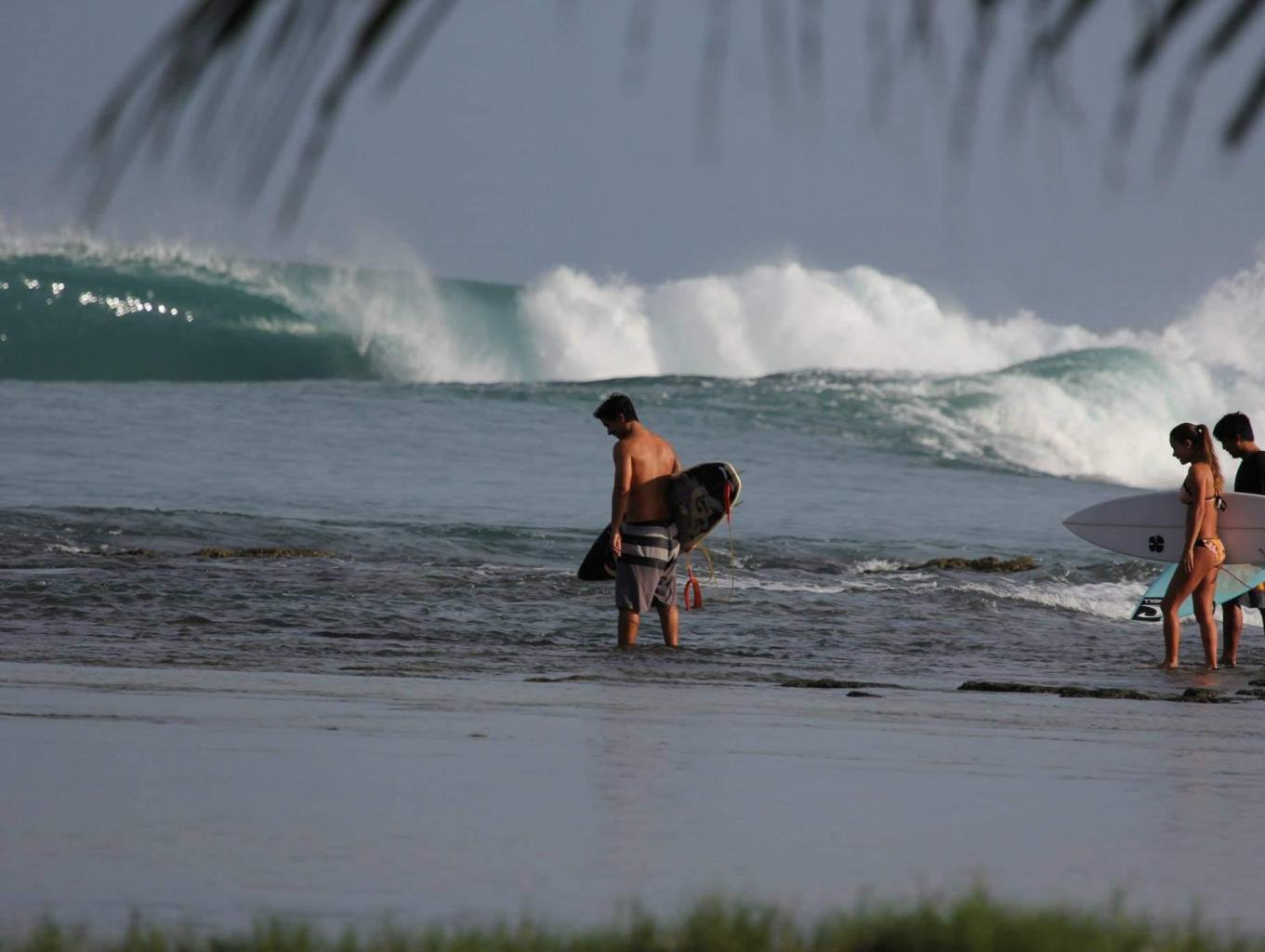 Belajar Surfing