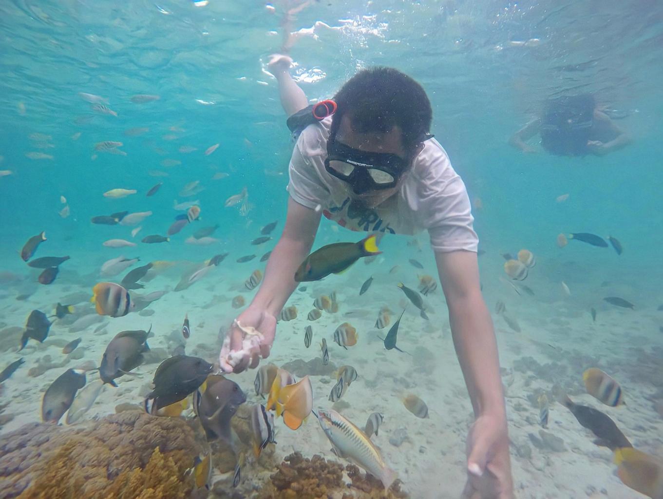 Snorkeling Gili Petelu