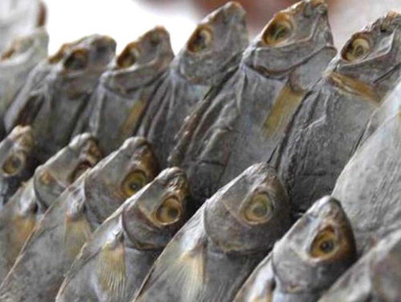 Ikan Kering Bawis Khas Bontang