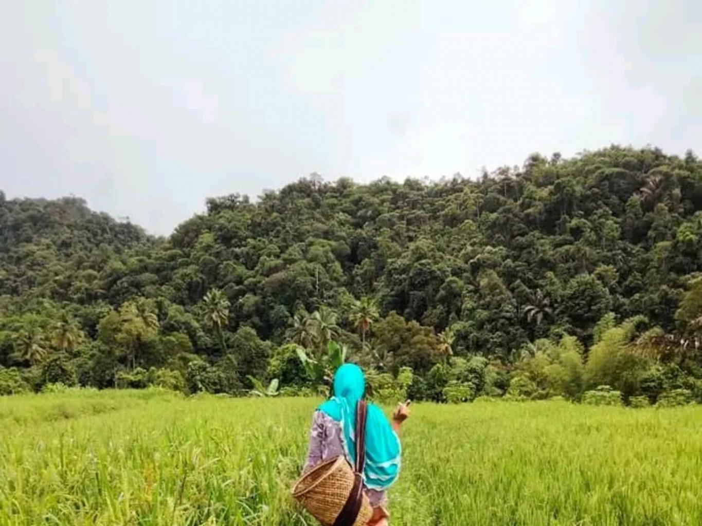 PERMANDIAN AIR PANAS PINCARA