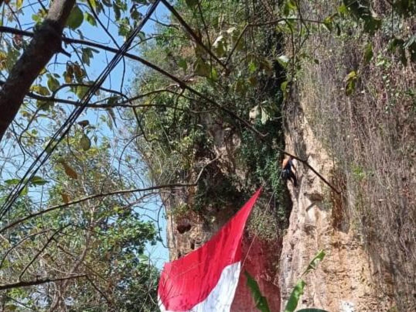 Panjat Tebing, Telusur Goa