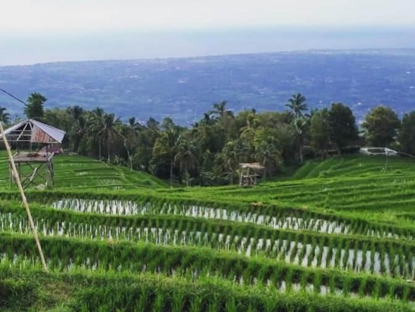 Alam Puncak Landep