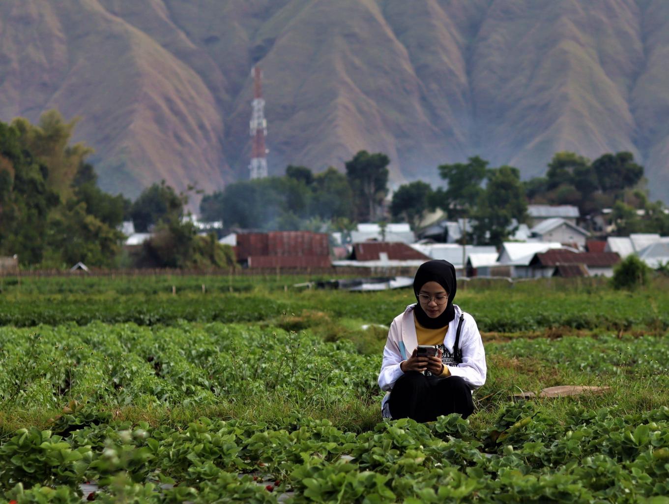 Wisata Petik Strawberry