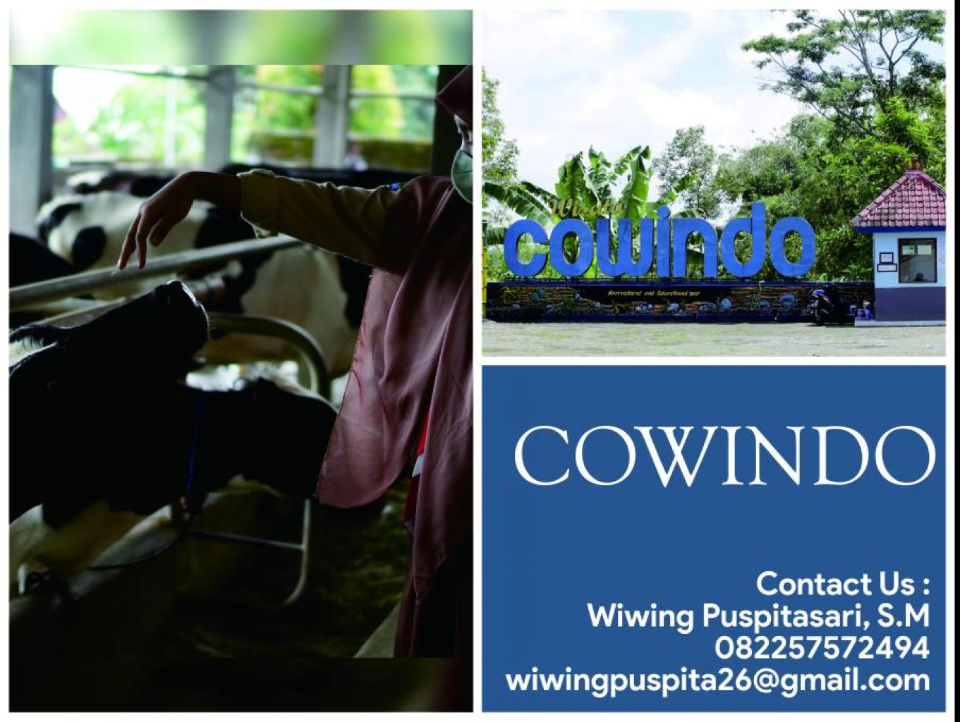 Cowindo