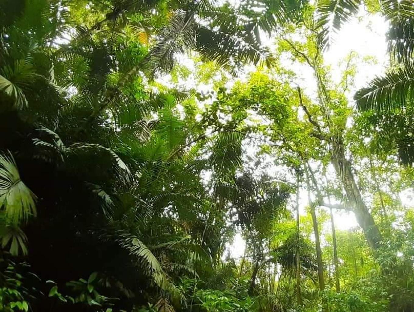 Kampung Wisata Cisangkal