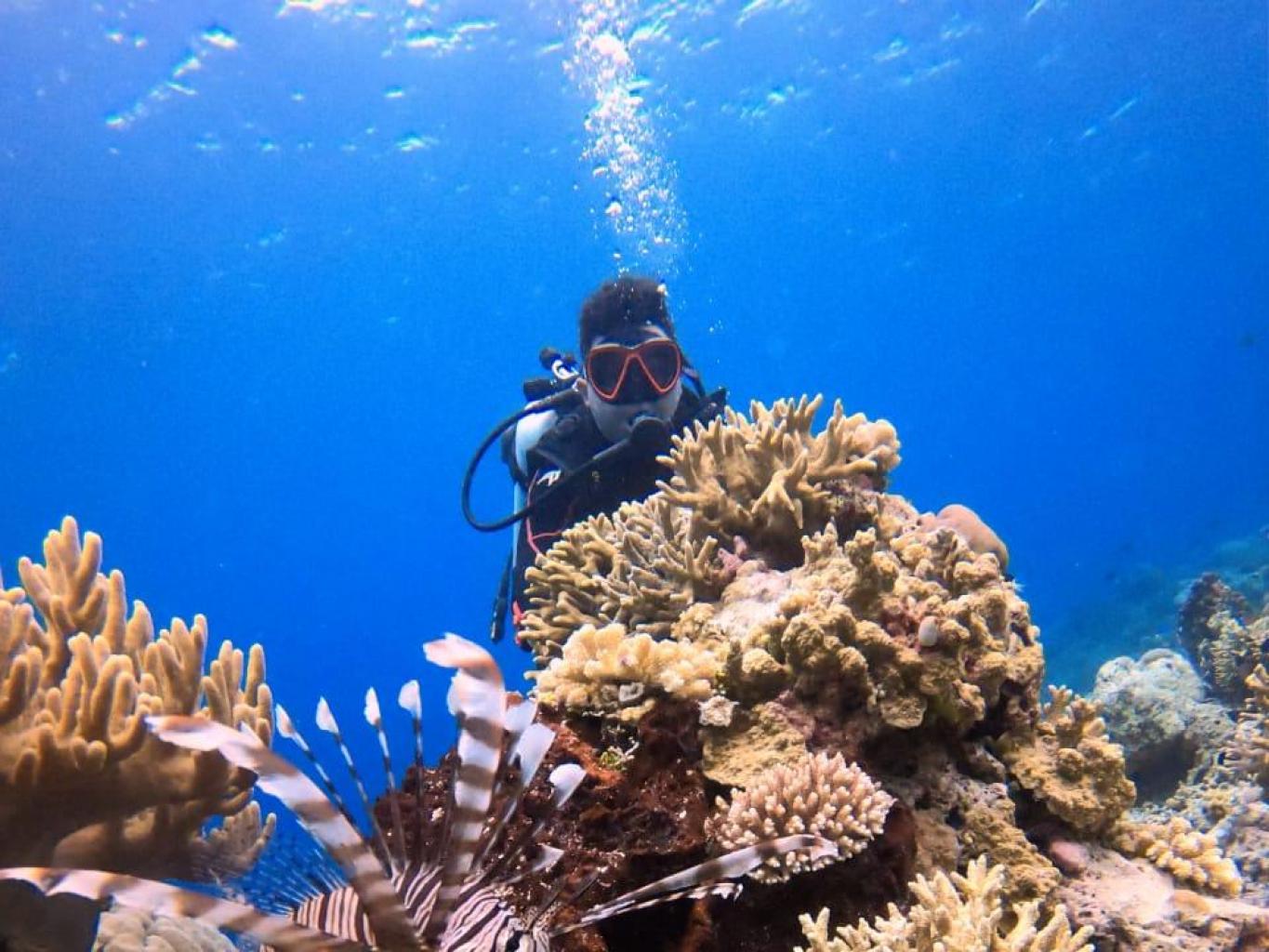 Diving