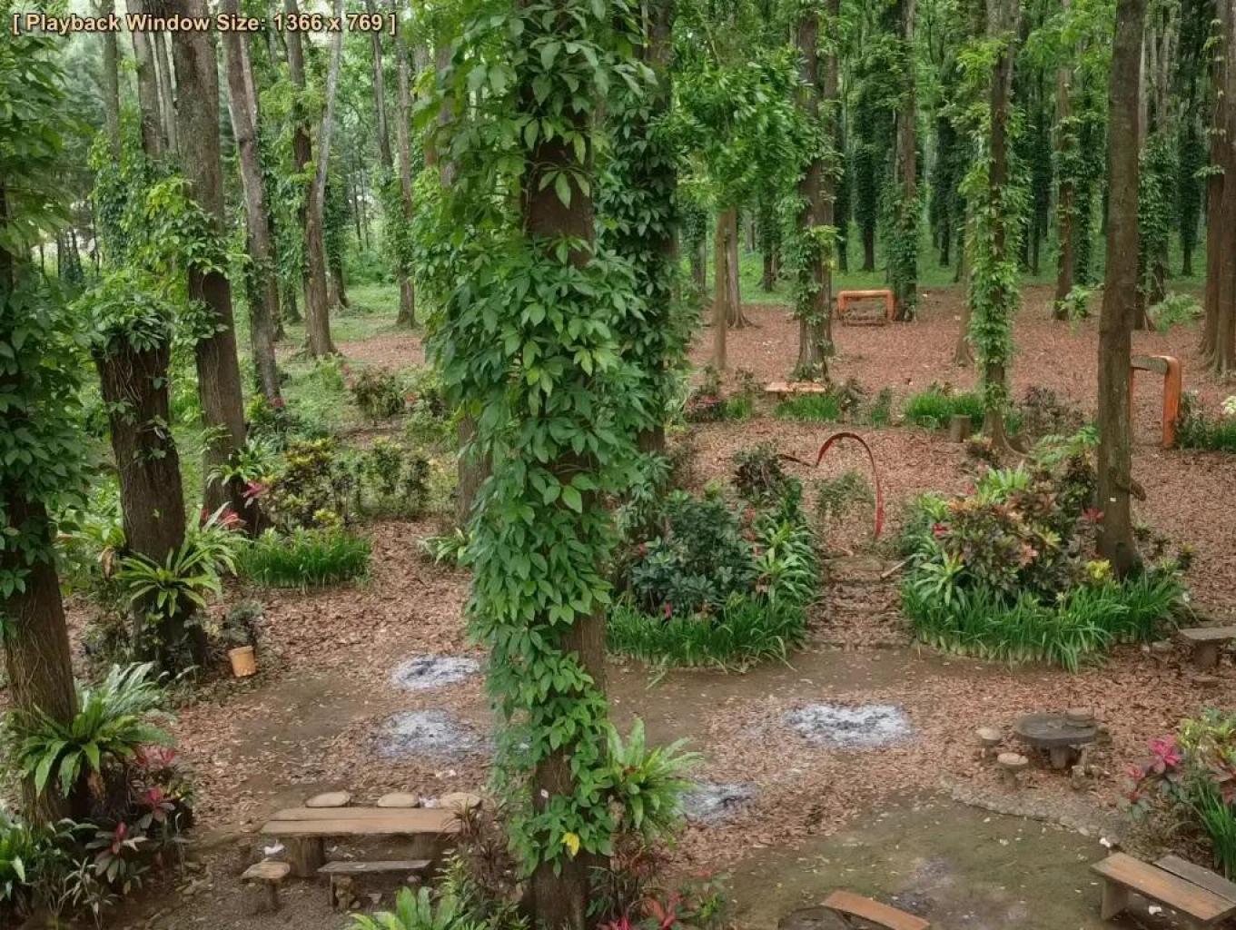 Wisata Alam Sumber Manis