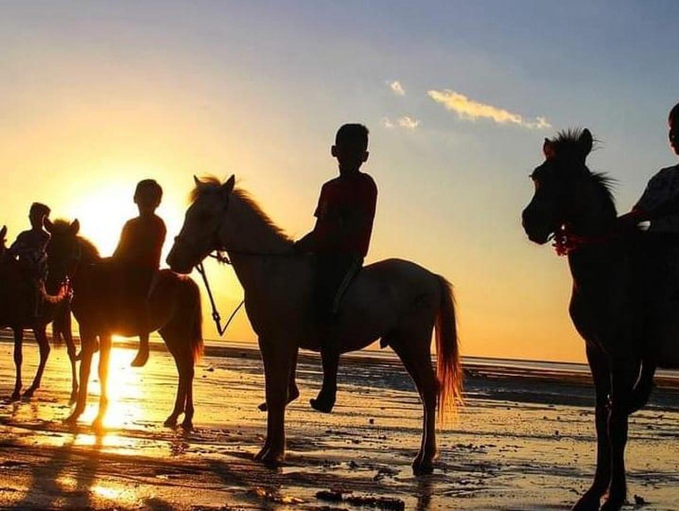 Edukasi Berkuda Di Pantai