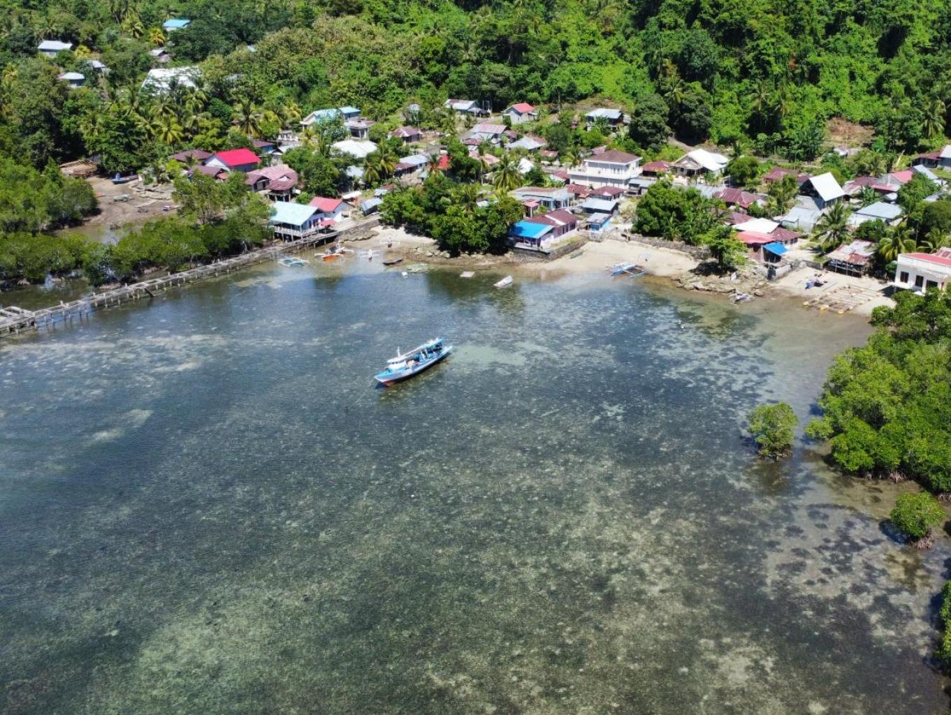 Bahoi