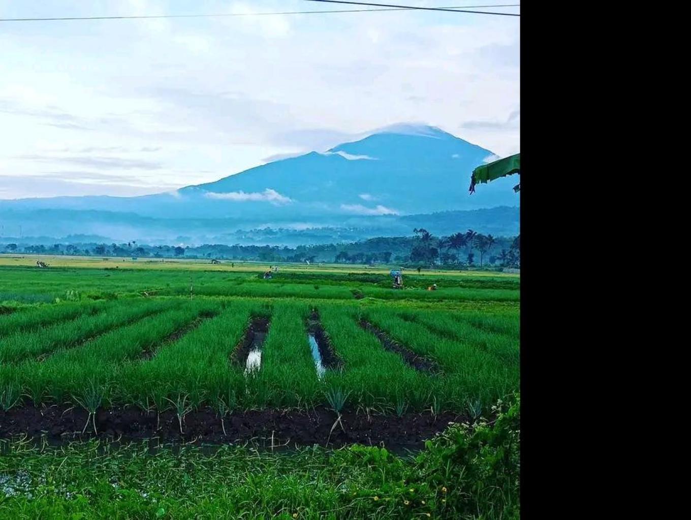 Cikondang Riang